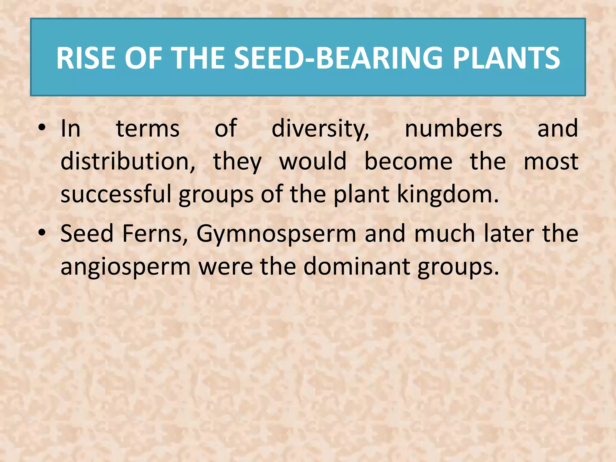 RISE OF THE SEED-BEARING PLANTS 
• In terms of diversity, numbers and 
distribution, they would become the most 
successful groups of the plant kingdom. 
• Seed Ferns, Gymnospserm and much later the 
angiosperm were the dominant groups. 
 