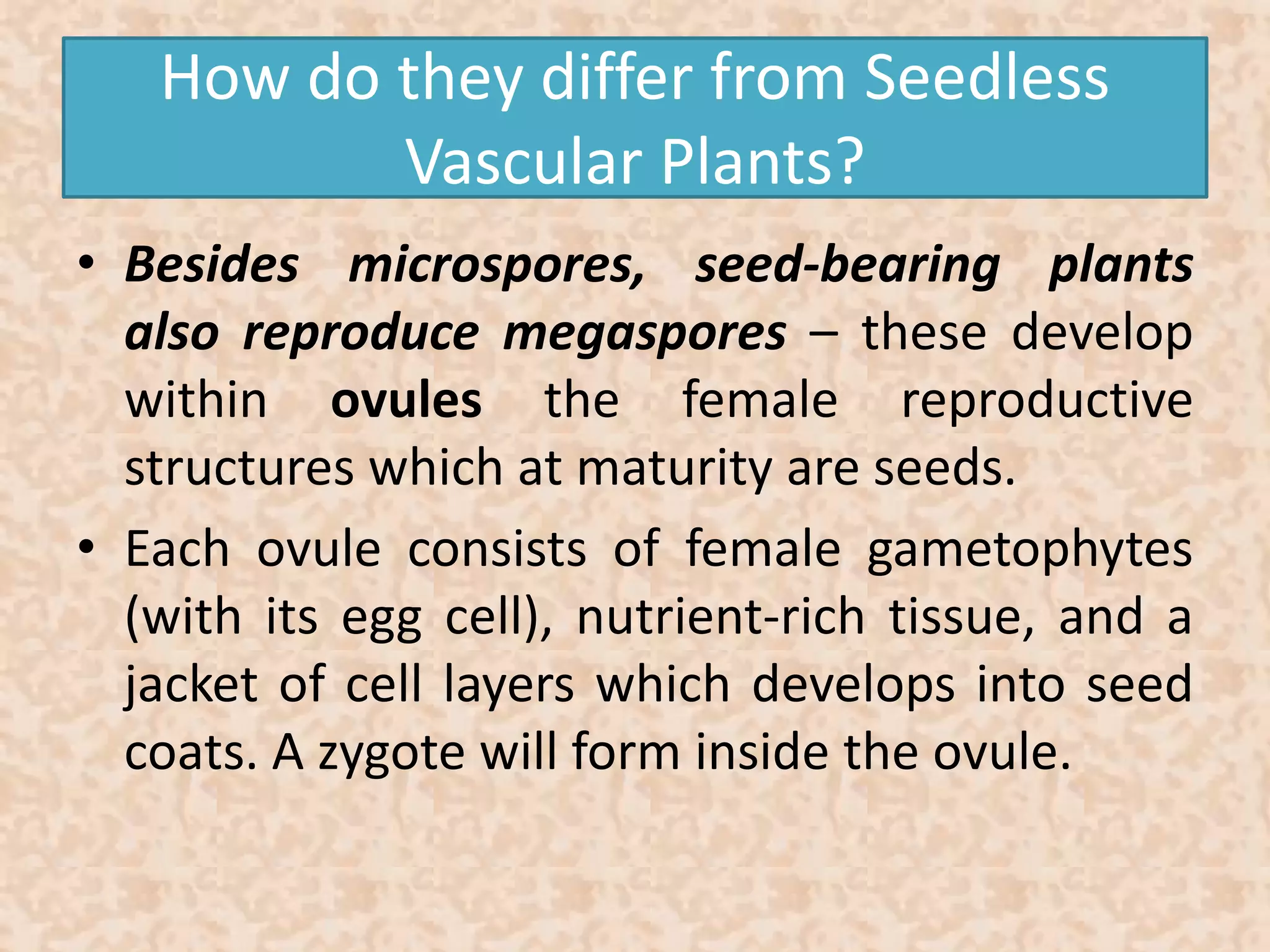How do they differ from Seedless 
Vascular Plants? 
• Besides microspores, seed-bearing plants 
also reproduce megaspores – these develop 
within ovules the female reproductive 
structures which at maturity are seeds. 
• Each ovule consists of female gametophytes 
(with its egg cell), nutrient-rich tissue, and a 
jacket of cell layers which develops into seed 
coats. A zygote will form inside the ovule. 
 