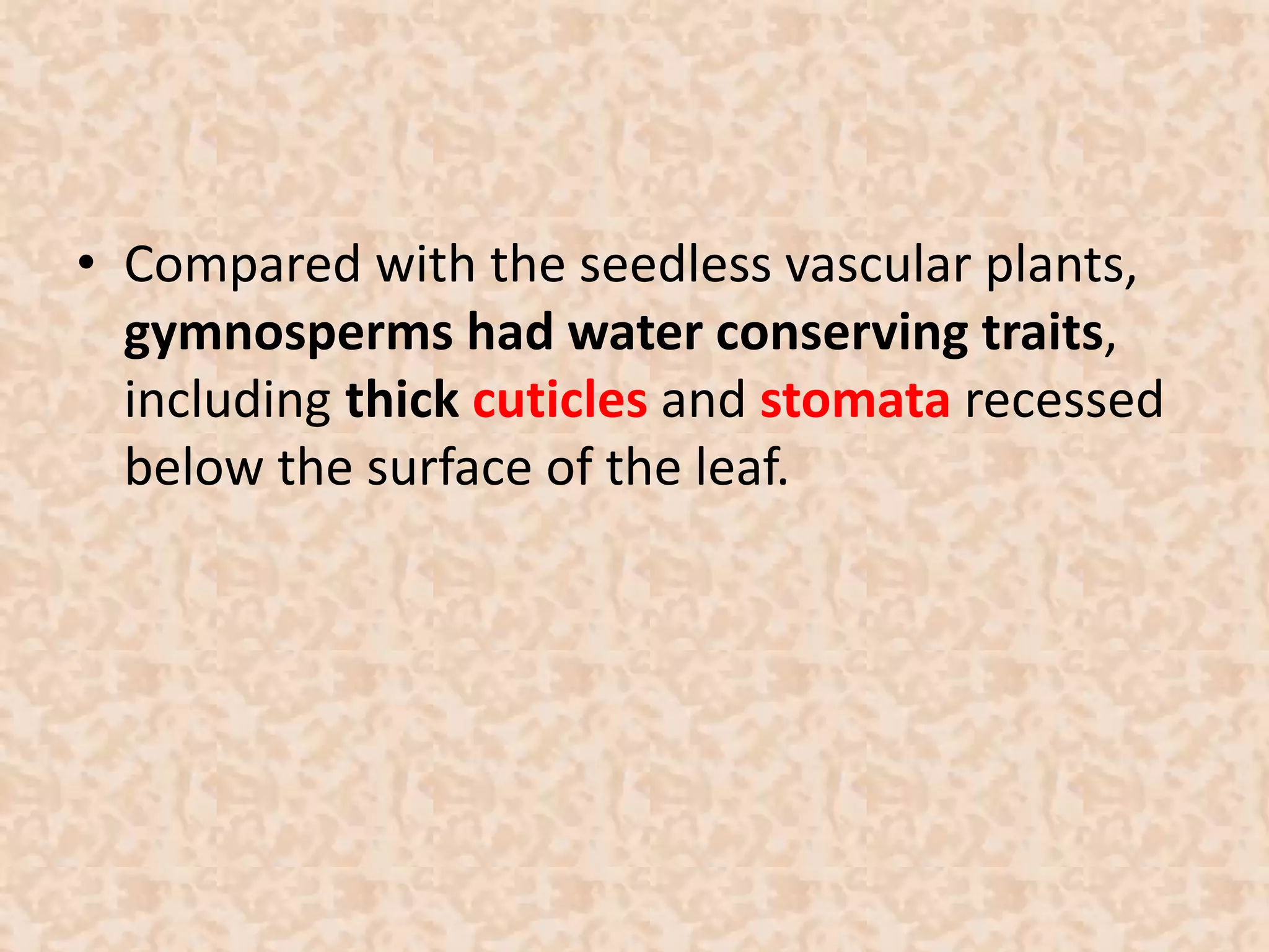 • Compared with the seedless vascular plants, 
gymnosperms had water conserving traits, 
including thick cuticles and stomata recessed 
below the surface of the leaf. 
 