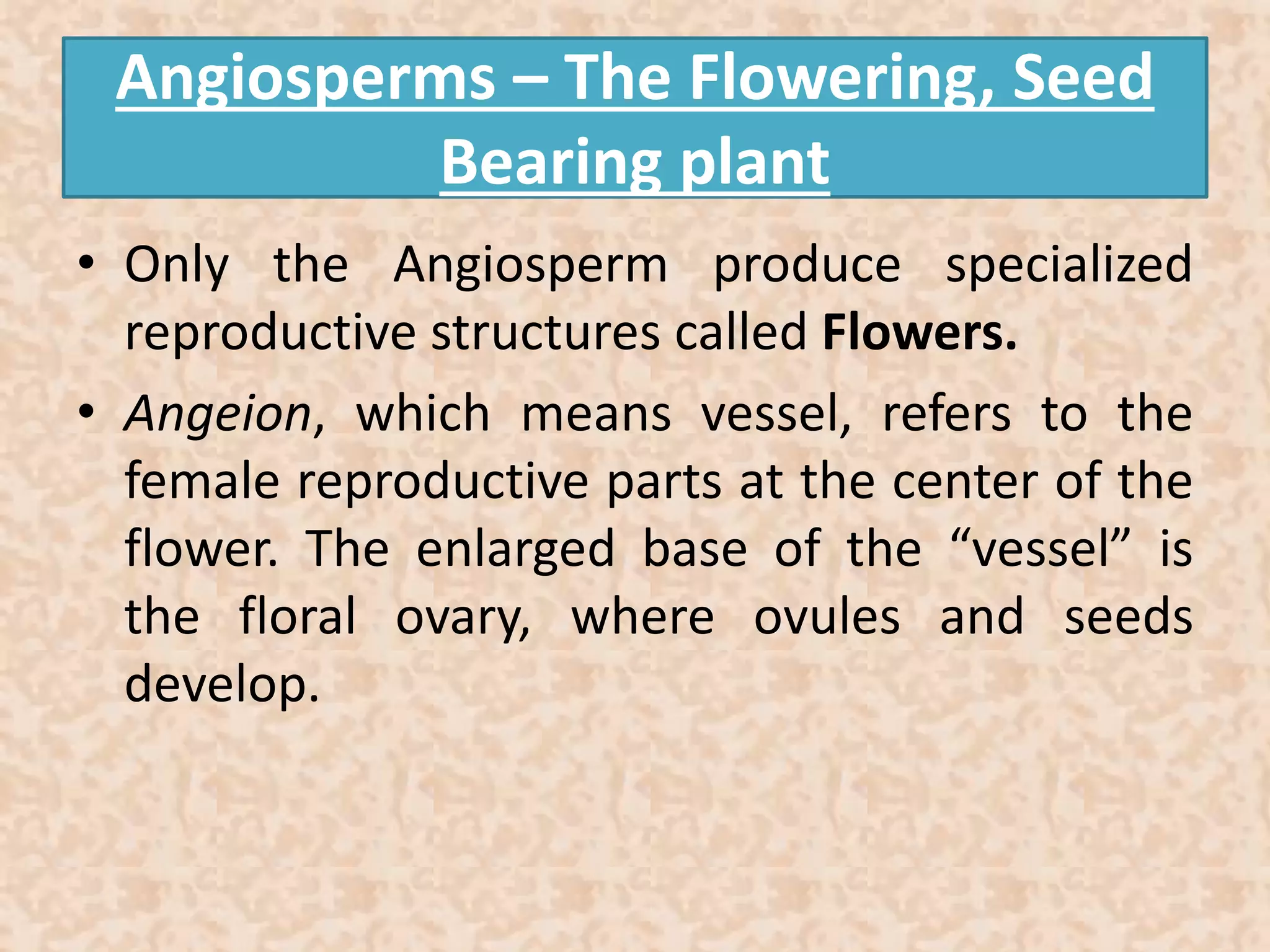 Angiosperms – The Flowering, Seed 
Bearing plant 
• Only the Angiosperm produce specialized 
reproductive structures called Flowers. 
• Angeion, which means vessel, refers to the 
female reproductive parts at the center of the 
flower. The enlarged base of the “vessel” is 
the floral ovary, where ovules and seeds 
develop. 
 