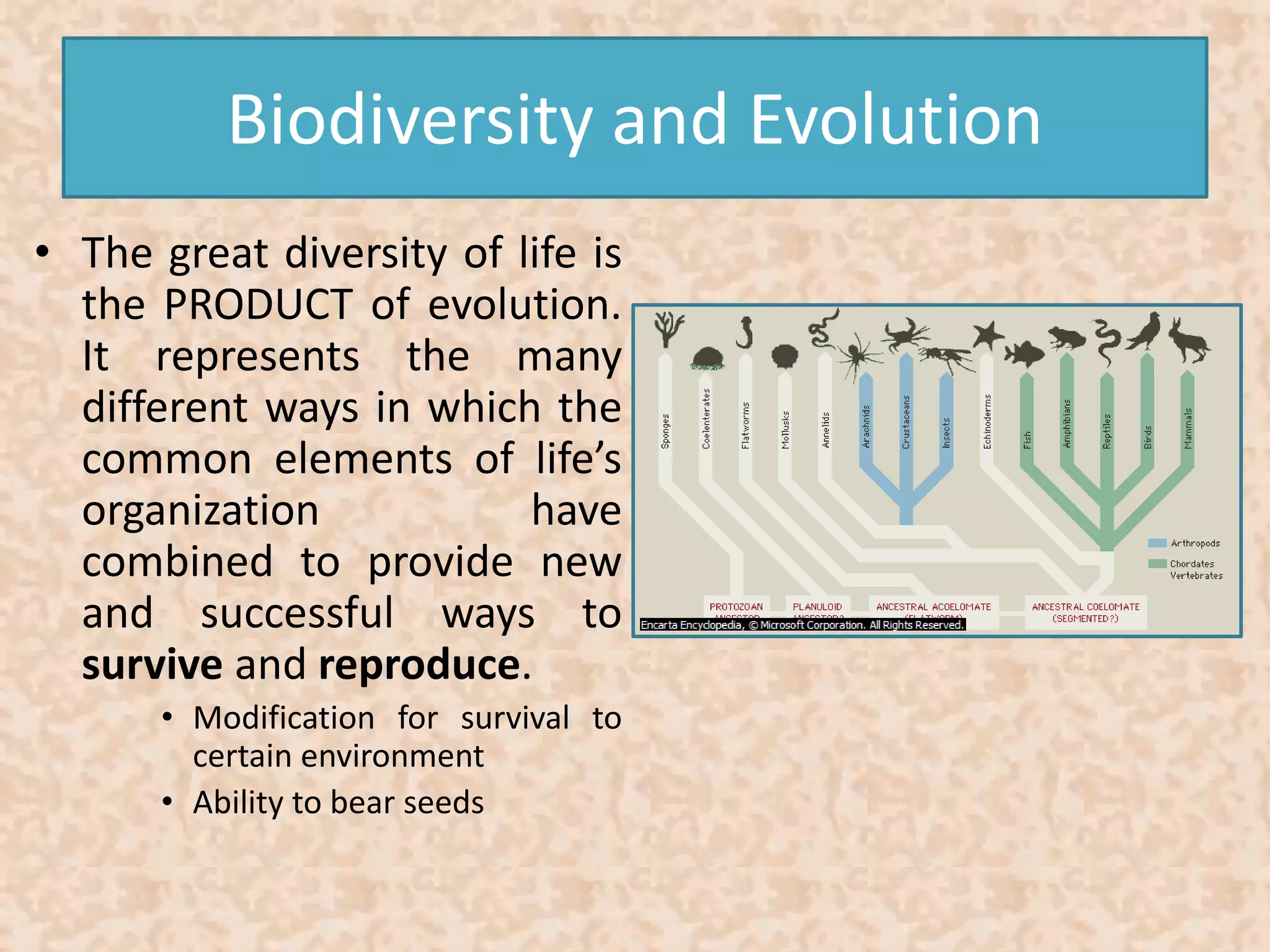 Biodiversity and Evolution 
• The great diversity of life is 
the PRODUCT of evolution. 
It represents the many 
different ways in which the 
common elements of life’s 
organization have 
combined to provide new 
and successful ways to 
survive and reproduce. 
• Modification for survival to 
certain environment 
• Ability to bear seeds 
 