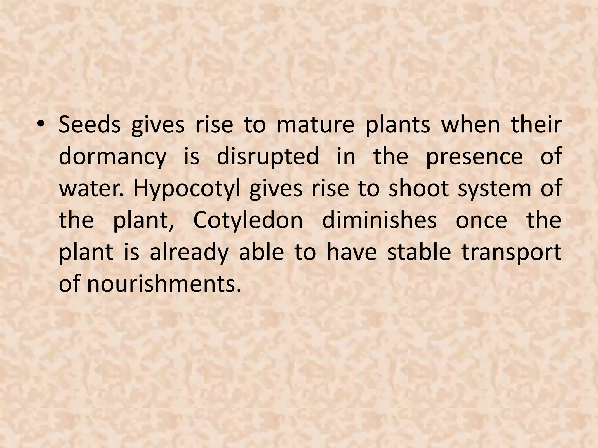 • Seeds gives rise to mature plants when their 
dormancy is disrupted in the presence of 
water. Hypocotyl gives rise to shoot system of 
the plant, Cotyledon diminishes once the 
plant is already able to have stable transport 
of nourishments. 
 