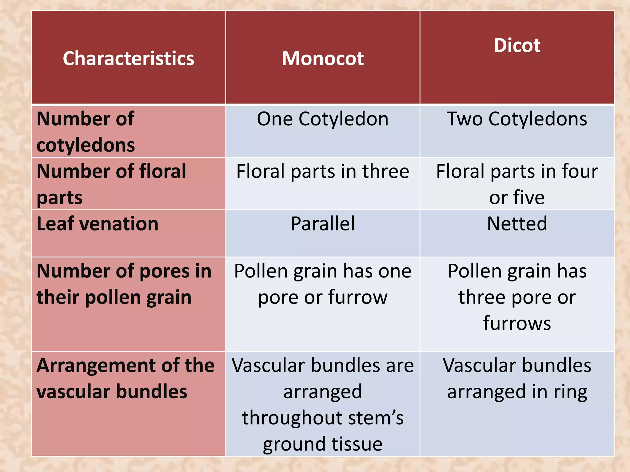 Characteristics Monocot 
Dicot 
Number of 
cotyledons 
One Cotyledon Two Cotyledons 
Number of floral 
parts 
Floral parts in three Floral parts in four 
or five 
Leaf venation Parallel Netted 
Number of pores in 
their pollen grain 
Pollen grain has one 
pore or furrow 
Pollen grain has 
three pore or 
furrows 
Arrangement of the 
vascular bundles 
Vascular bundles are 
arranged 
throughout stem’s 
ground tissue 
Vascular bundles 
arranged in ring 
 