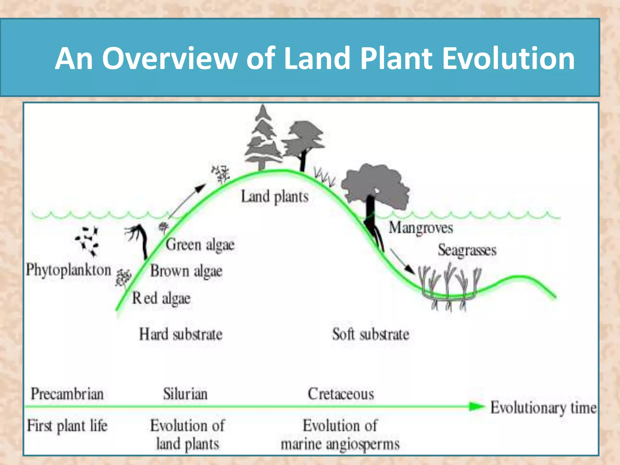 An Overview of Land Plant Evolution 
 