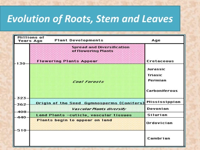 How plants colonized the land and evolution | PPTX