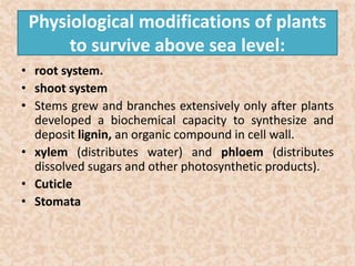 Physiological modifications of plants 
to survive above sea level: 
• root system. 
• shoot system 
• Stems grew and branches extensively only after plants 
developed a biochemical capacity to synthesize and 
deposit lignin, an organic compound in cell wall. 
• xylem (distributes water) and phloem (distributes 
dissolved sugars and other photosynthetic products). 
• Cuticle 
• Stomata 
 