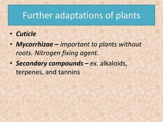 Further adaptations of plants 
• Cuticle 
• Mycorrhizae – important to plants without 
roots. Nitrogen fixing agent. 
• Secondary compounds – ex. alkaloids, 
terpenes, and tannins 
 