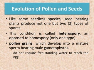 Evolution of Pollen and Seeds 
• Like some seedless species, seed bearing 
plants produce not one but two (2) types of 
spores. 
• This condition is called heterospory, an 
opposed to homospory (only one type). 
• pollen grains, which develop into a mature 
sperm bearing male gametophytes. 
– do not require free-standing water to reach the 
egg 
 