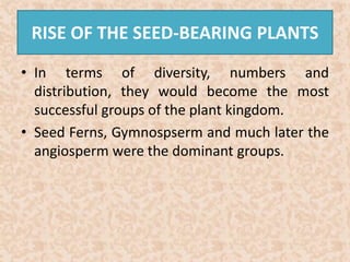 RISE OF THE SEED-BEARING PLANTS 
• In terms of diversity, numbers and 
distribution, they would become the most 
successful groups of the plant kingdom. 
• Seed Ferns, Gymnospserm and much later the 
angiosperm were the dominant groups. 
 
