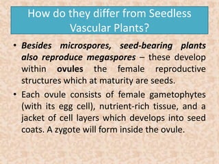 How do they differ from Seedless 
Vascular Plants? 
• Besides microspores, seed-bearing plants 
also reproduce megaspores – these develop 
within ovules the female reproductive 
structures which at maturity are seeds. 
• Each ovule consists of female gametophytes 
(with its egg cell), nutrient-rich tissue, and a 
jacket of cell layers which develops into seed 
coats. A zygote will form inside the ovule. 
 