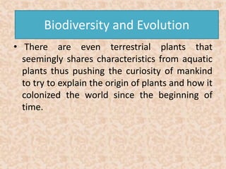 Biodiversity and Evolution 
• There are even terrestrial plants that 
seemingly shares characteristics from aquatic 
plants thus pushing the curiosity of mankind 
to try to explain the origin of plants and how it 
colonized the world since the beginning of 
time. 
 