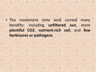 • The movement onto land carried many 
benefits: including unfiltered sun, more 
plentiful CO2, nutrient-rich soil, and few 
herbivores or pathogens 
 