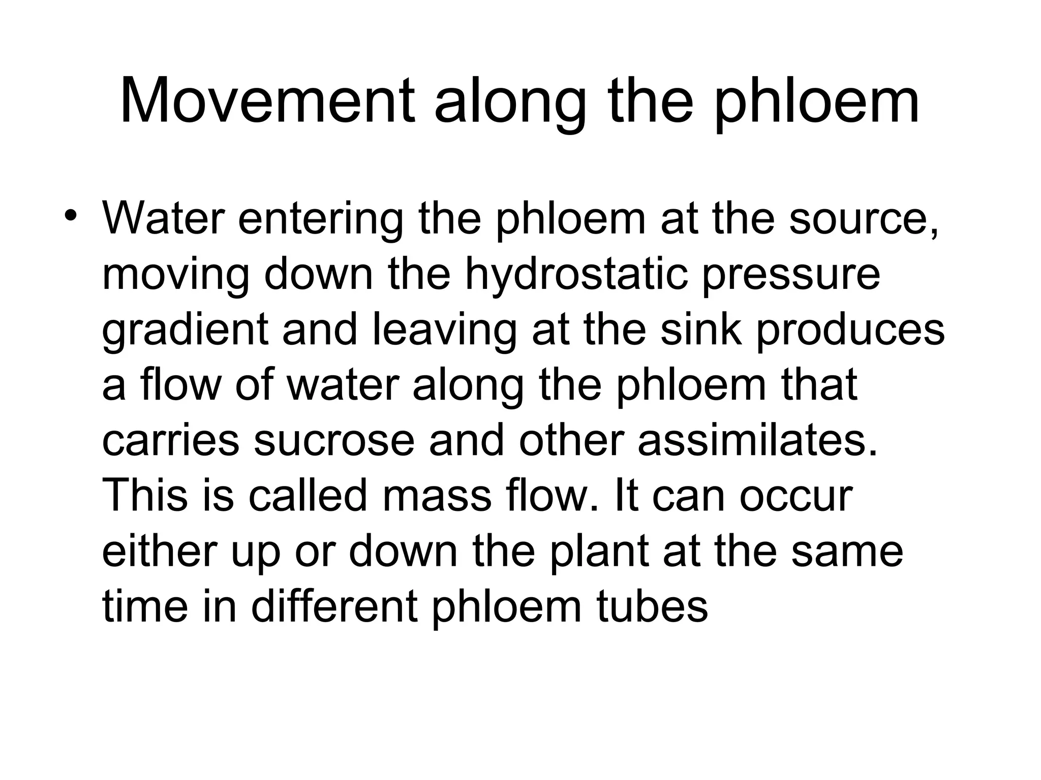 Movement along the phloem
• Water entering the phloem at the source,
moving down the hydrostatic pressure
gradient and leaving at the sink produces
a flow of water along the phloem that
carries sucrose and other assimilates.
This is called mass flow. It can occur
either up or down the plant at the same
time in different phloem tubes
 