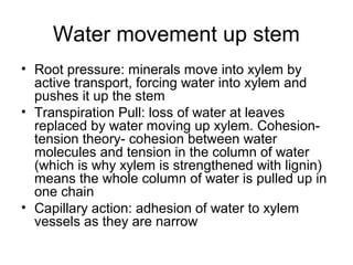 Water movement up stem
• Root pressure: minerals move into xylem by
active transport, forcing water into xylem and
pushes it up the stem
• Transpiration Pull: loss of water at leaves
replaced by water moving up xylem. Cohesion-
tension theory- cohesion between water
molecules and tension in the column of water
(which is why xylem is strengthened with lignin)
means the whole column of water is pulled up in
one chain
• Capillary action: adhesion of water to xylem
vessels as they are narrow
 