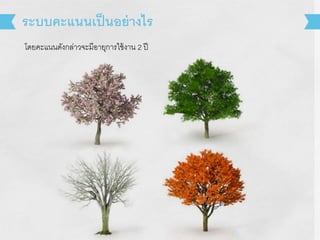 โดยคะแนนดังกล่าวจะมีอายุการใช้งาน 2 ปี
ระบบคะแนนเป็นอย่างไร
 