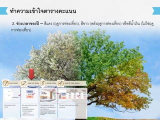 2. ช่วงเวลาของปี – สีแดง (ฤดูการท่องเที่ยว), สีขาว (หลังฤดูการท่องเที่ยว) หรือสีน้าเงิน (ไม่ใช่ฤดู
การท่องเที่ยว)
ทาความเข้าใจตารางคะแนน
 