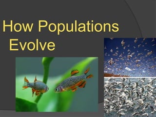 How Populations Evolve 