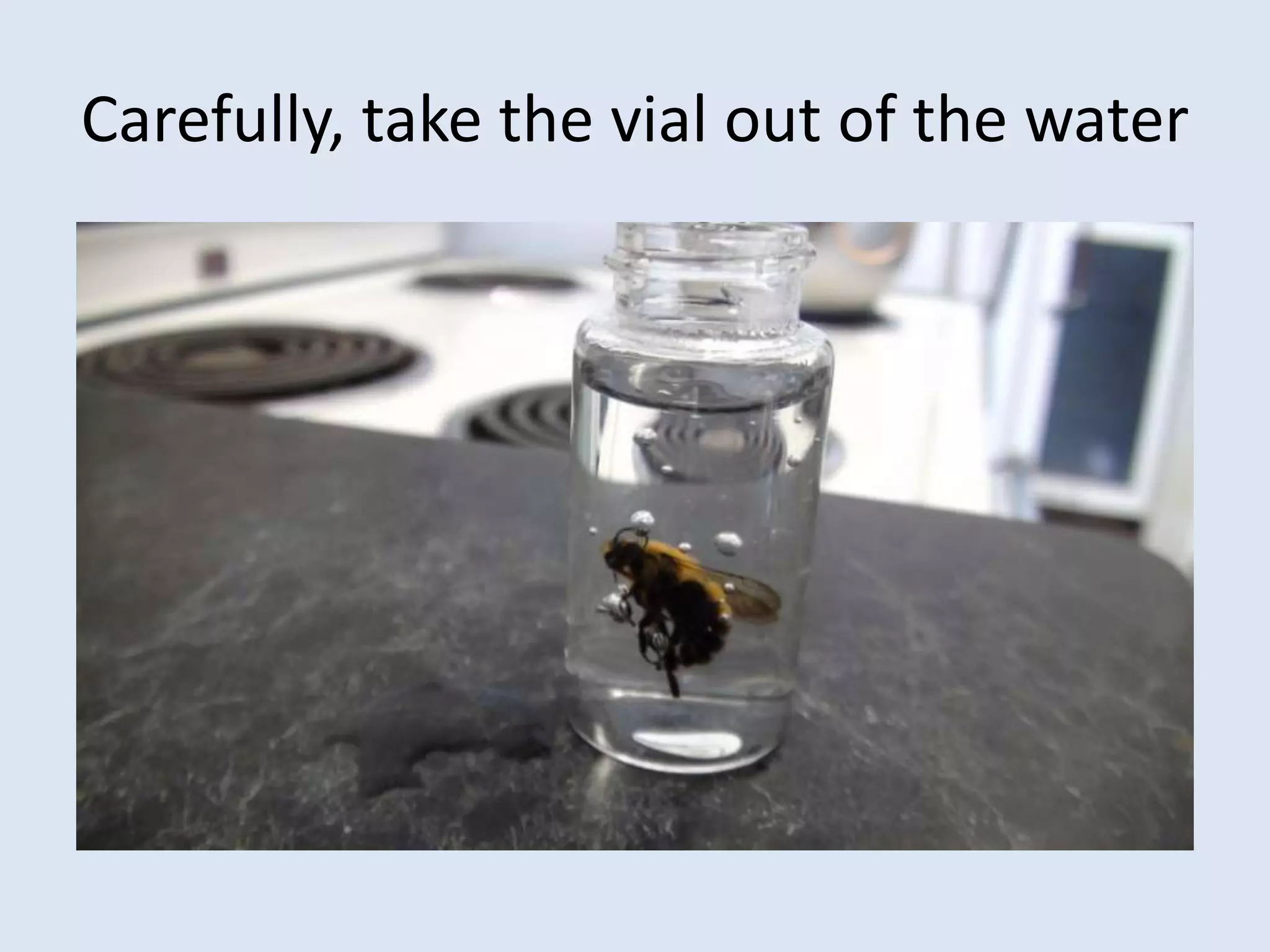 Carefully, take the vial out of the water