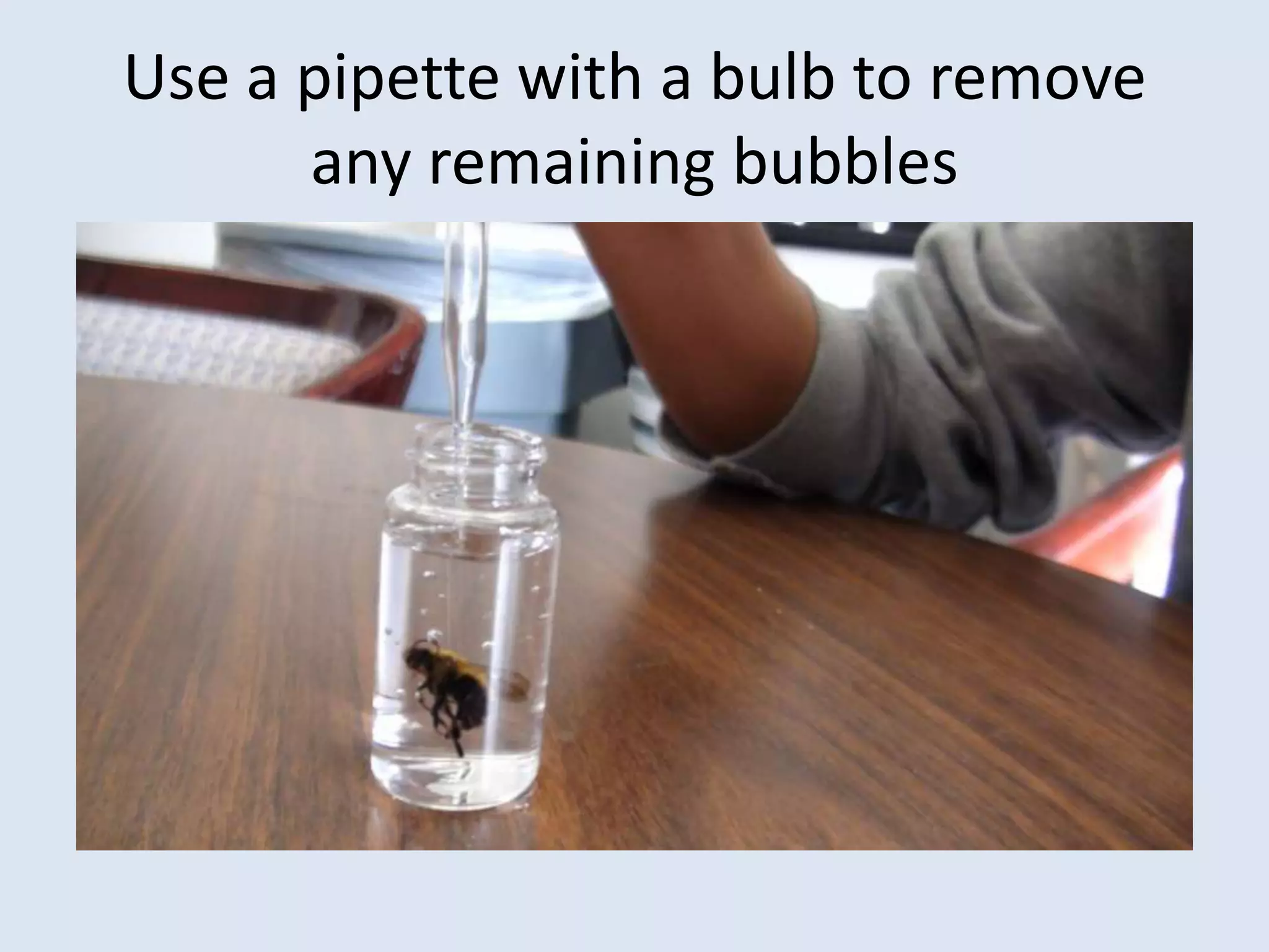 Use a pipette with a bulb to remove any remaining bubbles