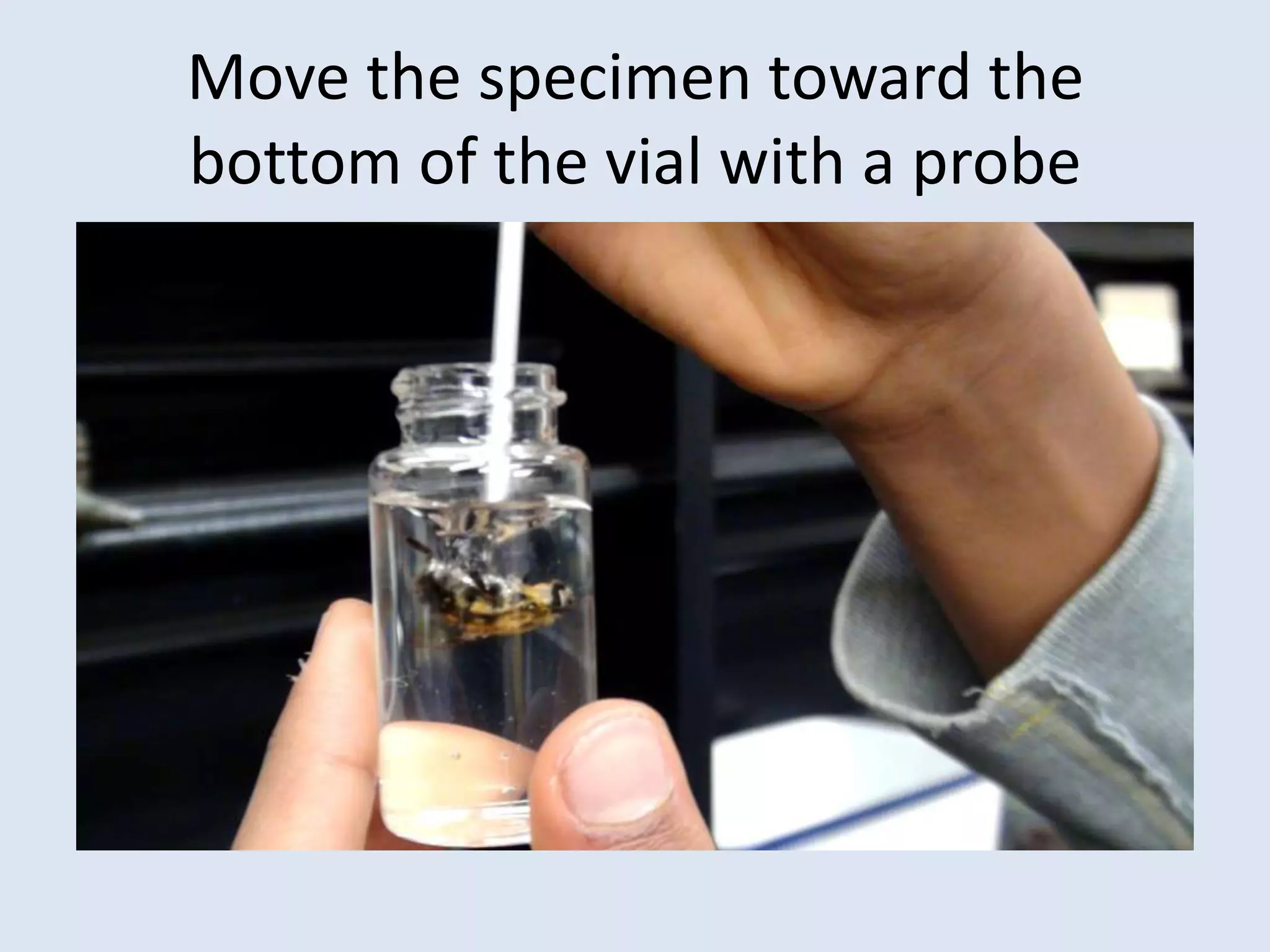 Move the specimen toward the bottom of the vial with a probe 
