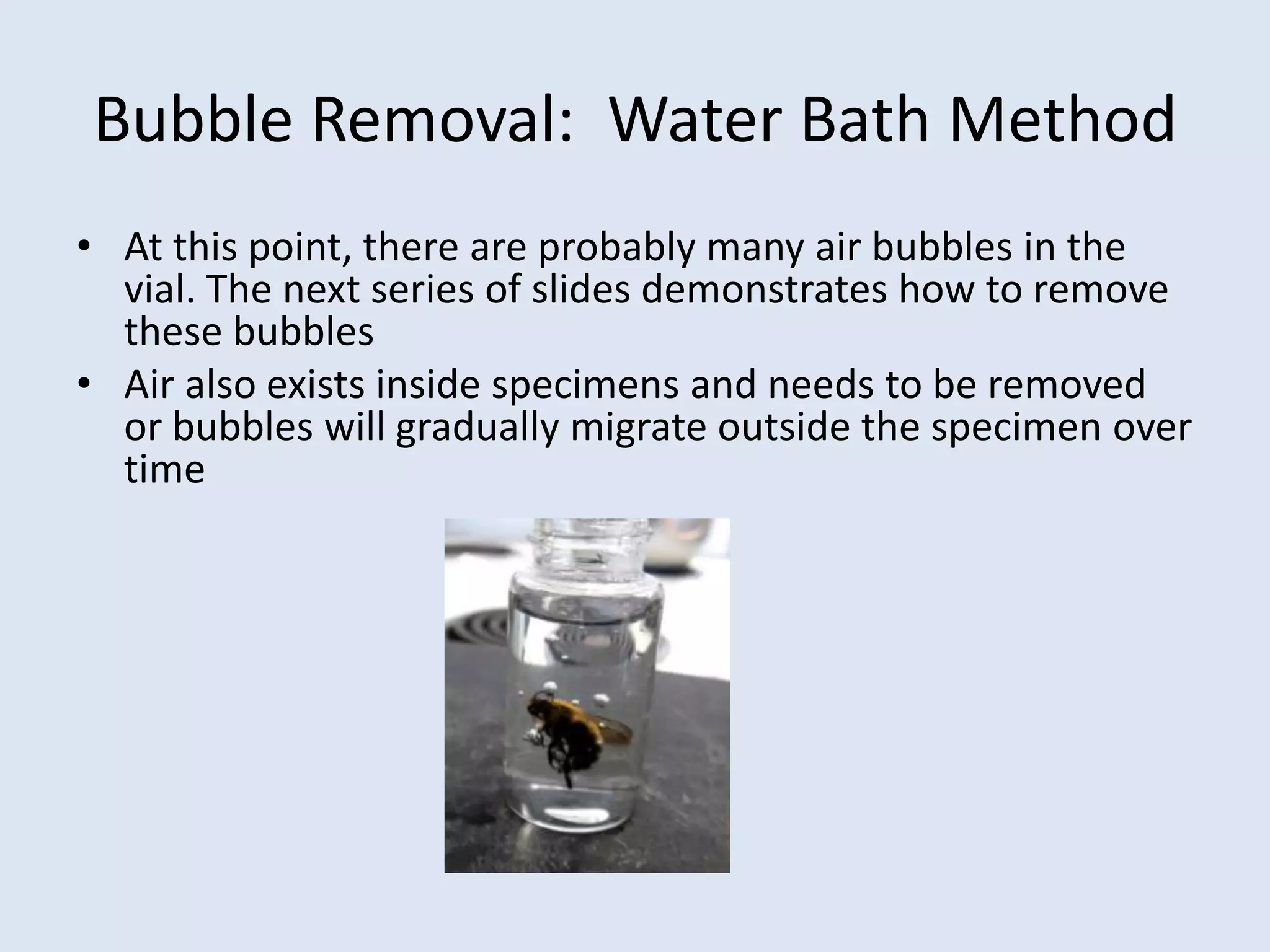 Bubble Removal:  Water Bath MethodAt this point, there are probably many air bubbles in the vial. The next series of slides demonstrates how to remove these bubblesAir also exists inside specimens and needs to be removed or bubbles will gradually migrate outside the specimen over time