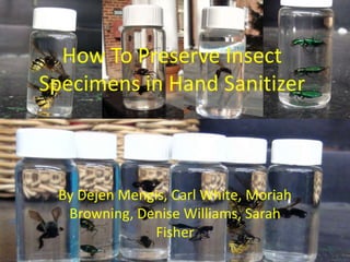 How To Preserve Insect Specimens in Hand Sanitizer By DejenMengis, Carl White, Moriah Browning, Denise Williams, Sarah Fisher 