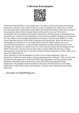 Yellowtone Extremophies
Yellowstone National Park is a truly unique place. Few places in the world contain such amazing
biodiversity, and such a wide variety of species in such a condensed area. While many scientists
have been interested in studying the various plants and animals that inhabit Yellowstone, a group of
microorganisms that has been of special interest in the past few years are Yellowstone s
extremophiles the microorganisms that inhabit Yellowstone s thermal springs. Extremophiles have
opened the eyes of science to the possibilities of life in extreme conditions, helping us to understand
how they adapt to such seemingly inhospitable environments. They have also helped us to make
several important advances in the fields of medicine and biotechnology. Before the discovery of
extremophiles in Yellowstone, it was widely believed that life simply could not survive at
extremely high temperatures, as extremely high temperatures quickly denature proteins in cells.
Although most organisms are unable to survive in such extreme climates, the microorganisms that
inhabit Yellowstone s thermal vents are able to thrive in them. Before the discovery of many
microorganisms in thermal areas, it was believed that the hottest temperature at which... Show more
content on Helpwriting.net ...
These organisms use several adaptations in order to survive high temperatures. They are
prokaryotes, which more easily adapt to extreme temperatures than eukaryotes. They use salts such
as potassium and magnesium to protect their DNA from degradation, and they generate special
polyamines that help to protect the proteins in their DNA from being degraded in high
temperatures. One adaptation that thermophilic archaea have that helps them to survive high
temperatures is ether bonds in their cell membranes, which are more stable than bonds found in
many other
... Get more on HelpWriting.net ...
 