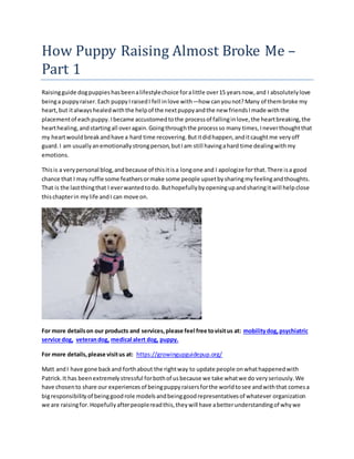 How Puppy Raising Almost Broke Me –
Part 1
Raisingguide dogpuppieshasbeenalifestylechoice foralittle over15 yearsnow,and I absolutelylove
beinga puppyraiser.Each puppyIraisedI fell inlove with—how canyounot?Many of thembroke my
heart,but italwayshealedwiththe helpof the nextpuppyandthe new friendsImade withthe
placementof eachpuppy.Ibecame accustomedtothe processof fallinginlove,the heartbreaking,the
hearthealing,andstartingall overagain.Goingthroughthe processso many times,Ineverthoughtthat
my heartwouldbreakandhave a hard time recovering.Butitdidhappen,anditcaughtme veryoff
guard.I am usuallyanemotionallystrongperson,butIam still havingahard time dealingwithmy
emotions.
Thisis a verypersonal blog,andbecause of thisitisa longone and I apologize forthat.There isa good
chance that I may ruffle some feathersormake some people upsetbysharingmyfeelingandthoughts.
That is the lastthingthat I everwantedtodo. Buthopefullybyopeningupandsharingitwill helpclose
thischapterin mylife andI can move on.
For more detailson our products and services,please feel free tovisitus at: mobilitydog, psychiatric
service dog, veterandog, medical alert dog, puppy.
For more details,please visitus at: https://growingupguidepup.org/
Matt andI have gone backand forthabout the rightway to update people onwhathappenedwith
Patrick.It has beenextremelystressful forbothof usbecause we take whatwe do veryseriously.We
have chosento share our experiencesof beingpuppyraisersforthe worldtosee andwiththat comesa
bigresponsibilityof beinggoodrole modelsandbeinggoodrepresentativesof whatever organization
we are raisingfor.Hopefullyafterpeoplereadthis,theywill have abetterunderstandingof whywe
 