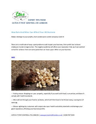CATCH-­‐IT	
  PEST	
  CONTROL	
  LTD	
  LONDON	
  |	
  www.pestcontrol4london.co.uk	
  |	
  0208	
  787	
  5929	
  
	
  
EXPERT	
  TIPS	
  FROM	
  
CATCH-­‐IT	
  PEST	
  CONTROL	
  LTD	
  LONDON	
  
	
  
How	
  Rats	
  And	
  Mice	
  Can	
  Affect	
  Your	
  UK	
  Business	
  	
  
Reduce	
  damage	
  to	
  your	
  profits,	
  from	
  London	
  pest	
  control	
  company	
  Catch-­‐It	
  
	
  
There	
  are	
  a	
  multitude	
  of	
  ways	
  a	
  pest	
  problem	
  could	
  impact	
  your	
  business,	
  from	
  profit	
  loss	
  to	
  lower	
  
employee	
  morale	
  to	
  legal	
  action.	
  The	
  negative	
  publicity	
  will	
  affect	
  your	
  reputation	
  that	
  you	
  have	
  worked	
  
so	
  hard	
  to	
  achieve.	
  Here	
  are	
  some	
  pests	
  that	
  can	
  have	
  a	
  poor	
  effect	
  on	
  your	
  business.	
  	
  
	
  
MICE	
  	
  
	
  
-­‐-­‐-­‐	
  Having	
  mouse	
  droppings	
  on	
  your	
  property,	
  especially	
  if	
  you	
  work	
  with	
  food,	
  is	
  unsanitary	
  and	
  doesn’t	
  
comply	
  with	
  health	
  standards.	
  	
  
-­‐-­‐-­‐	
  Mice	
  will	
  eat	
  through	
  your	
  food	
  or	
  products,	
  which	
  will	
  then	
  have	
  to	
  be	
  thrown	
  away,	
  causing	
  loss	
  of	
  
earnings.	
  	
  
-­‐-­‐-­‐	
  Mouse	
  sightings	
  by	
  customers	
  will	
  compromise	
  your	
  health	
  and	
  safety	
  standards	
  and	
  damage	
  your	
  
good	
  reputation,	
  affecting	
  your	
  business	
  profits.	
  	
  
 