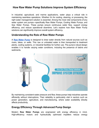 How Raw Water Pump Solutions Improve System Efficiency | PDF