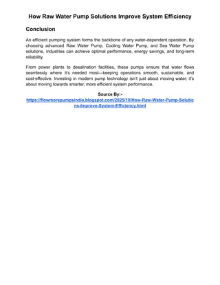 How Raw Water Pump Solutions Improve System Efficiency | PDF