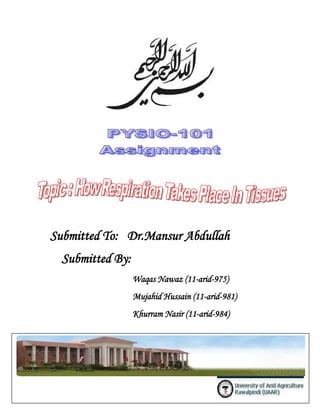 Submitted To: Dr.Mansur Abdullah
  Submitted By:
                  Waqas Nawaz (11-arid-975)
                  Mujahid Hussain (11-arid-981)
                  Khurram Nasir (11-arid-984)
 