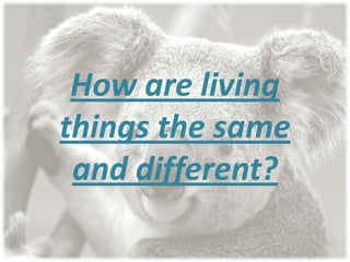 How are living
things the same
 and different?
 