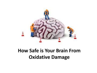 How Safe is Your Brain From
Oxidative Damage
 