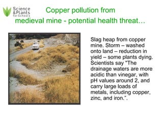 Copper pollution from  medieval mine - potential health threat…   Slag heap from copper mine. Storm – washed onto land – reduction in yield – some plants dying. Scientists say "The drainage waters are more acidic than vinegar, with pH values around 2, and carry large loads of metals, including copper, zinc, and iron.”.  
