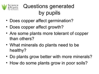 Questions generated  by pupils Does copper affect germination? Does copper affect growth? Are some plants more tolerant of copper than others? What minerals do plants need to be healthy? Do plants grow better with more minerals? How do some plants grow in poor soils? 