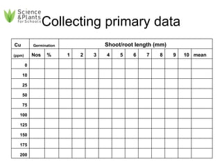 Collecting primary data 10 200 175 150 125 100 75 50 25 0 mean 10 9 8 7 6 5 4 3 2 1 % Nos (ppm) Shoot/root length (mm) Germination   Cu 