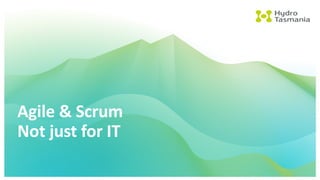 Agile	&	Scrum
Not	just	for	IT
 