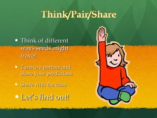 Think of different ways seeds might travel Turn to a partner and share your predictions Share with the class Let’s find out! 