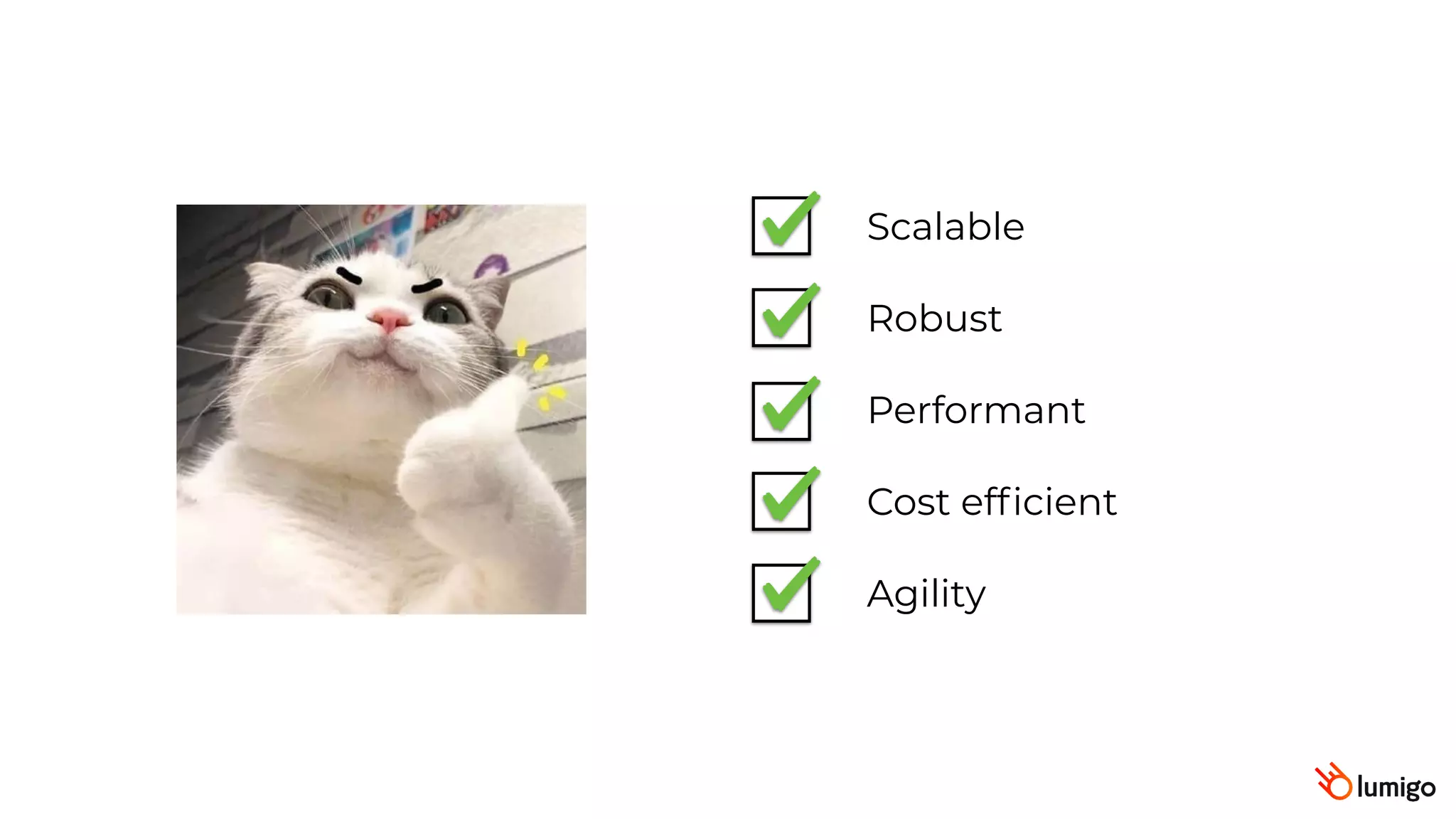 Scalable
Robust
Performant
Cost efficient
Agility
 