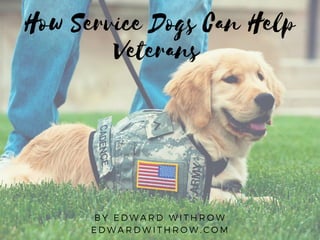 How Service Dogs Can Help
Veterans
BY EDWARD WITHROW
EDWARDWITHROW. COM
 
