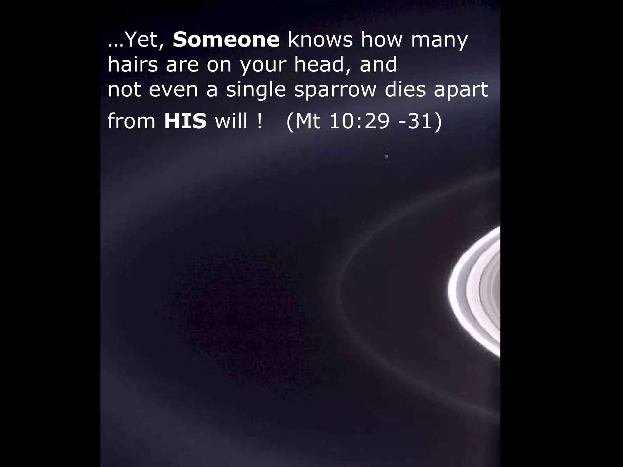 … Yet, Someone knows how many hairs are on your head, and not even a single sparrow dies apart from HIS will ! (Mt 10:29 -31)