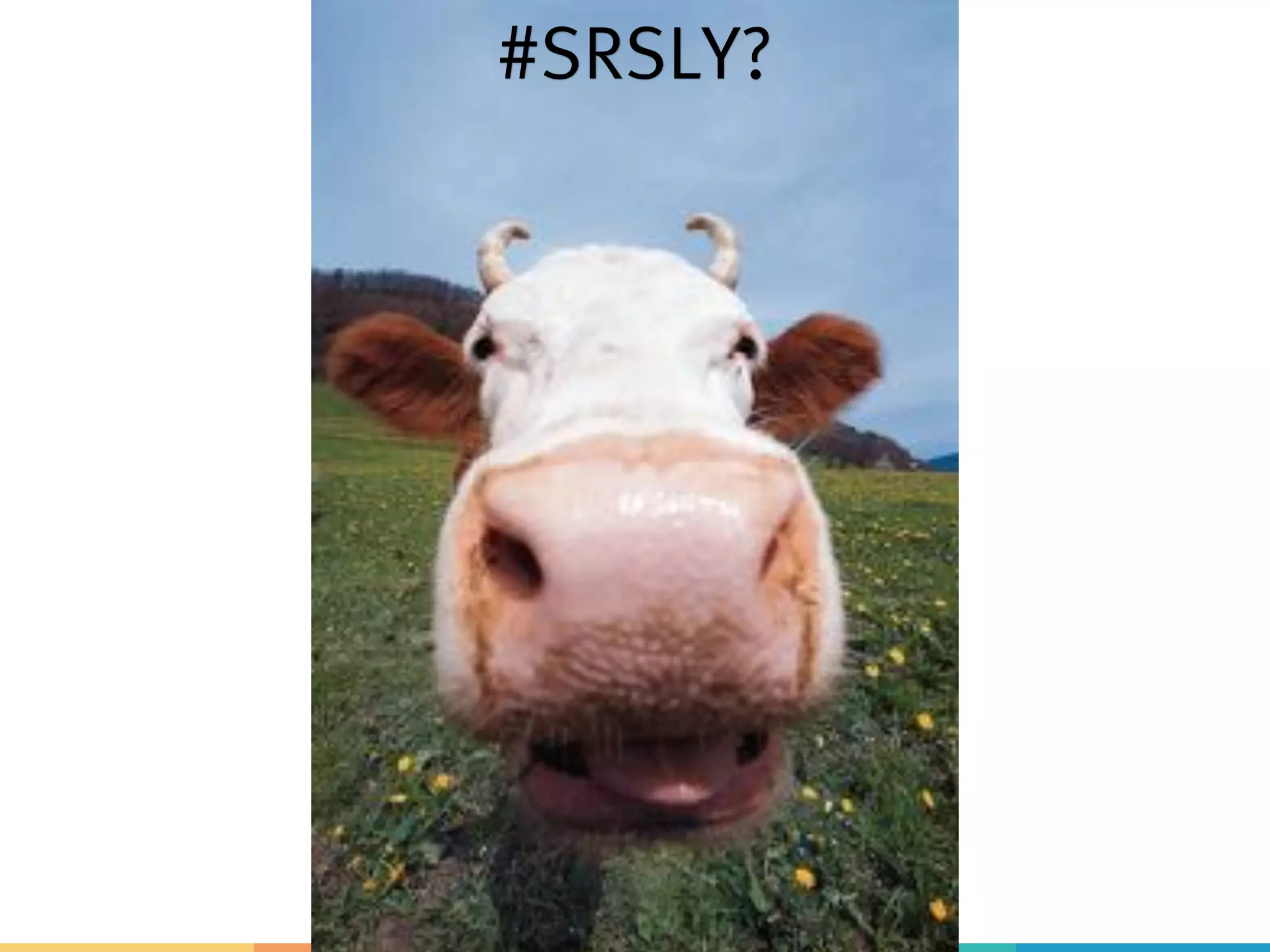 Nanoservices? #SRSLY? 