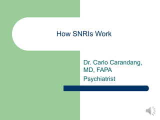 How SNRIs Work
Dr. Carlo Carandang,
MD, FAPA
Psychiatrist
 