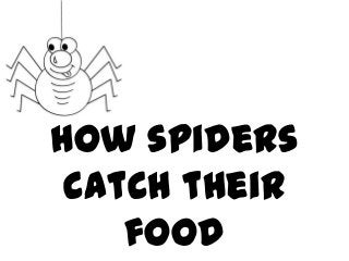 How spiders
catch their
food

 