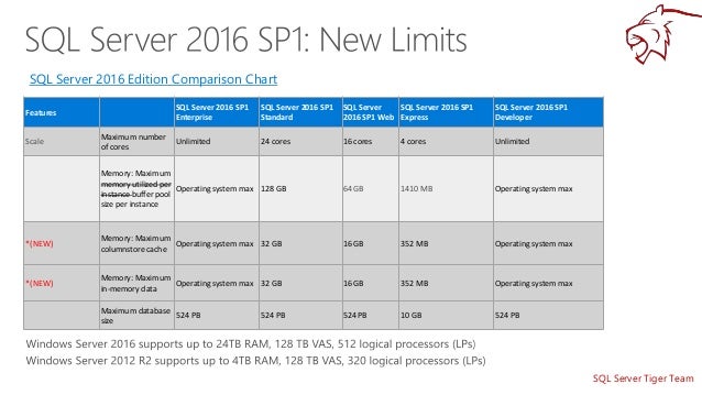Sql Server Edition Comparison | SQL Server Express vs Standard: Which ...