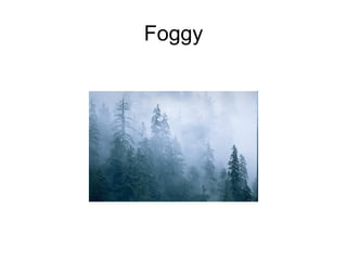 Foggy 