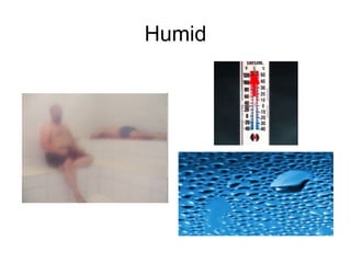 Humid 