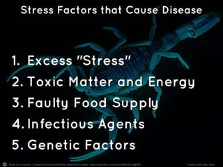 How Stress Causes Disease   part 4