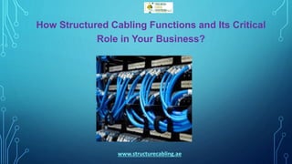 How Structured Cabling Functions and Its Critical
Role in Your Business?
www.structurecabling.ae
 